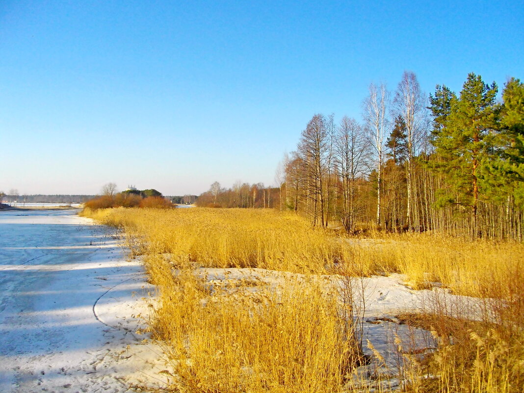 Начало марта. - Лия ☼ Начало марта. - Лия ☼