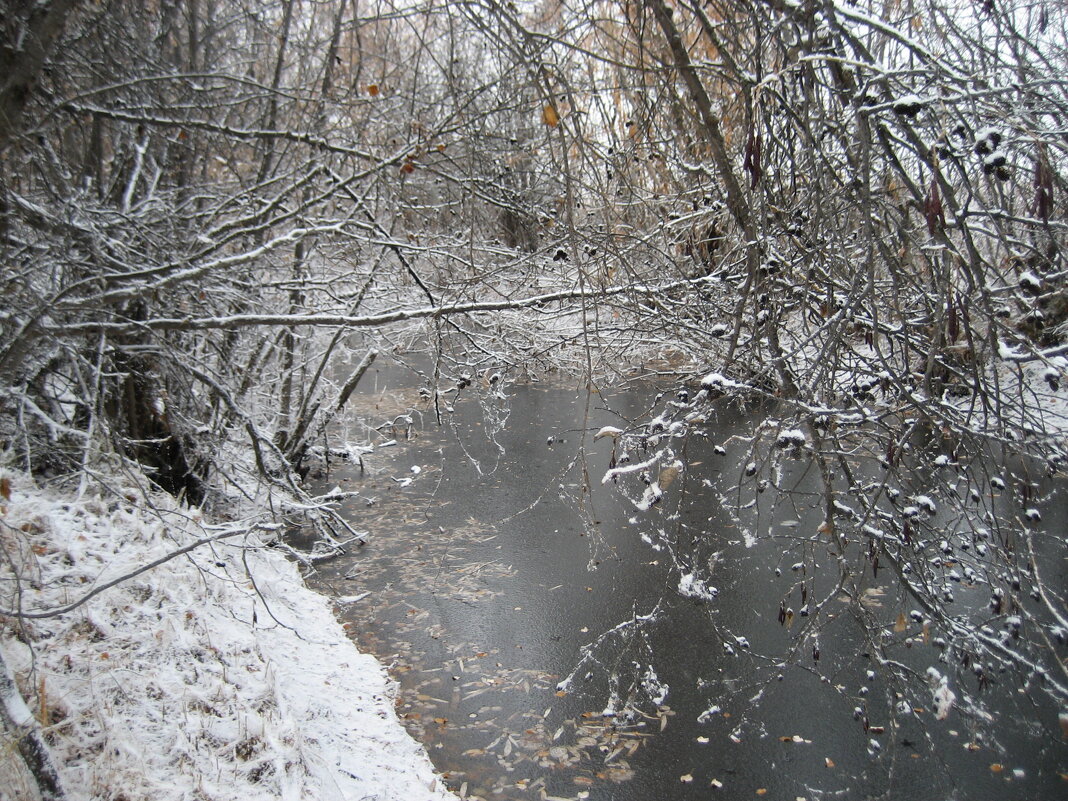Первый снег - Anna Ivanova Первый снег - Anna Ivanova