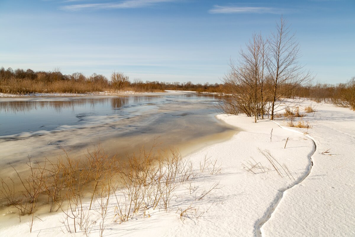 Ранняя весна. - Сергей Татаринов