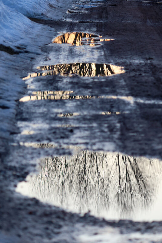 Отражение - Марина Мамаева