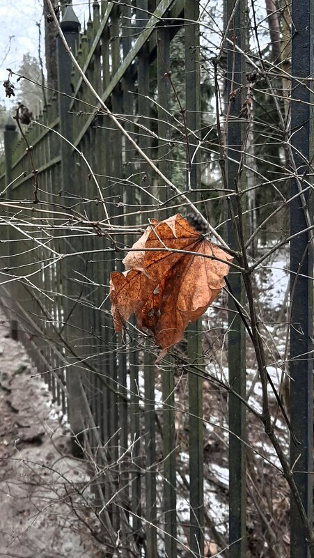 Привет из прошлого - Наталья Герасимова Привет из прошлого - Наталья Герасимова