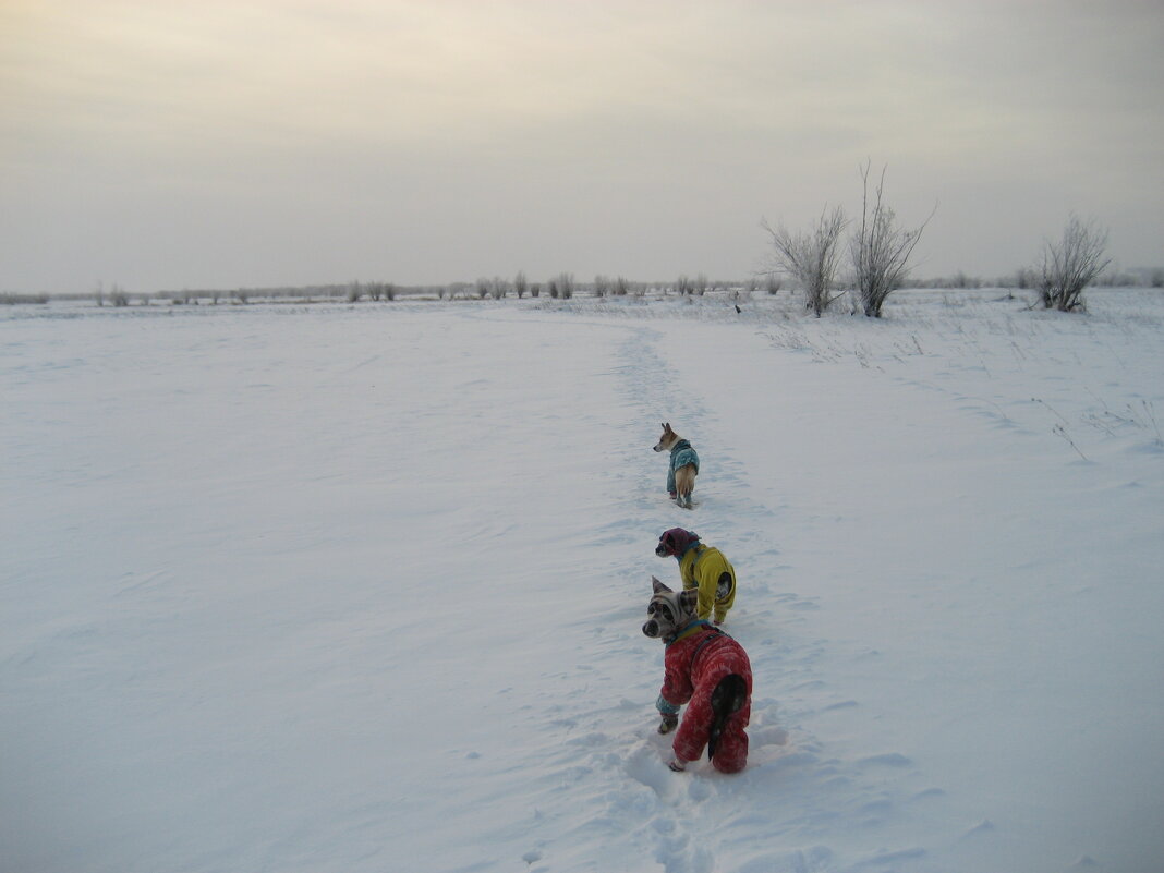 Экстремальные прогулки - Anna Ivanova Экстремальные прогулки - Anna Ivanova