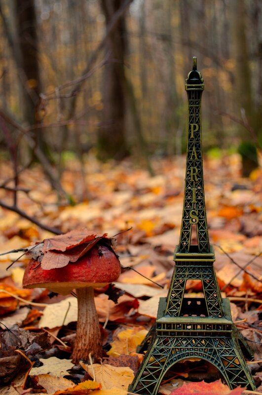 Осенний лес - Lyubov Busova