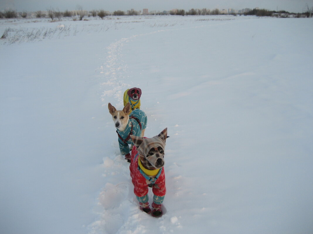 Дальше не пойдем - Anna Ivanova
