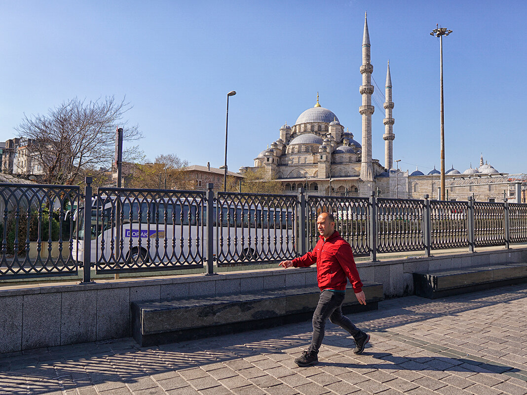 *** - Алексей Карташев