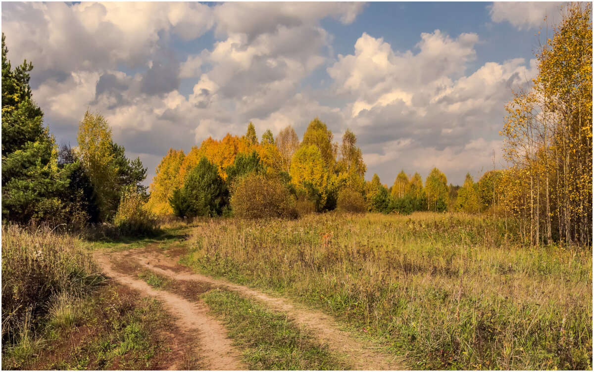 Осенняя пора - Валентин Котляров Осенняя пора - Валентин Котляров