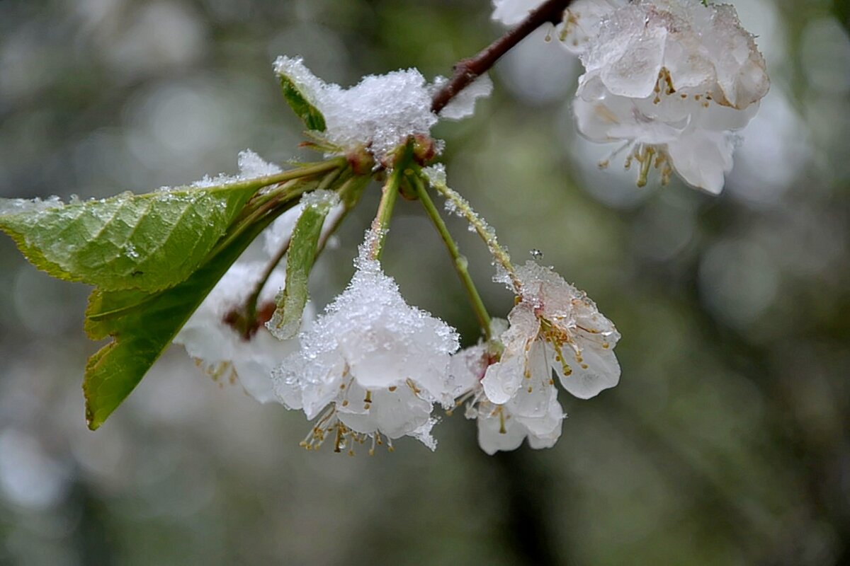 Вот такой май. - Михаил Столяров