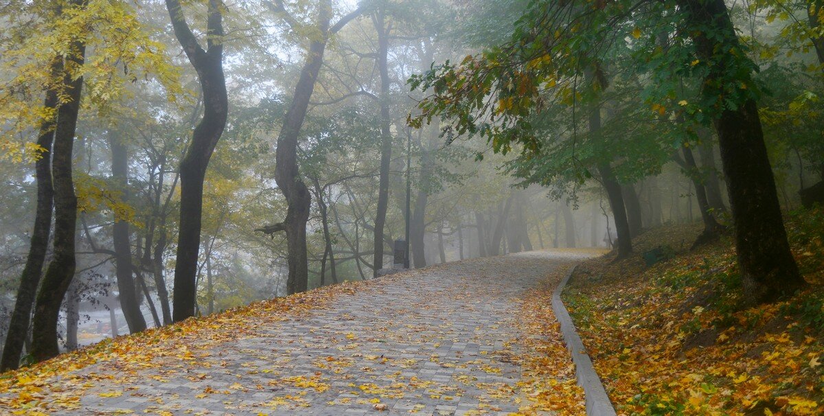 Осенним утром...... - Юрий Цыплятников