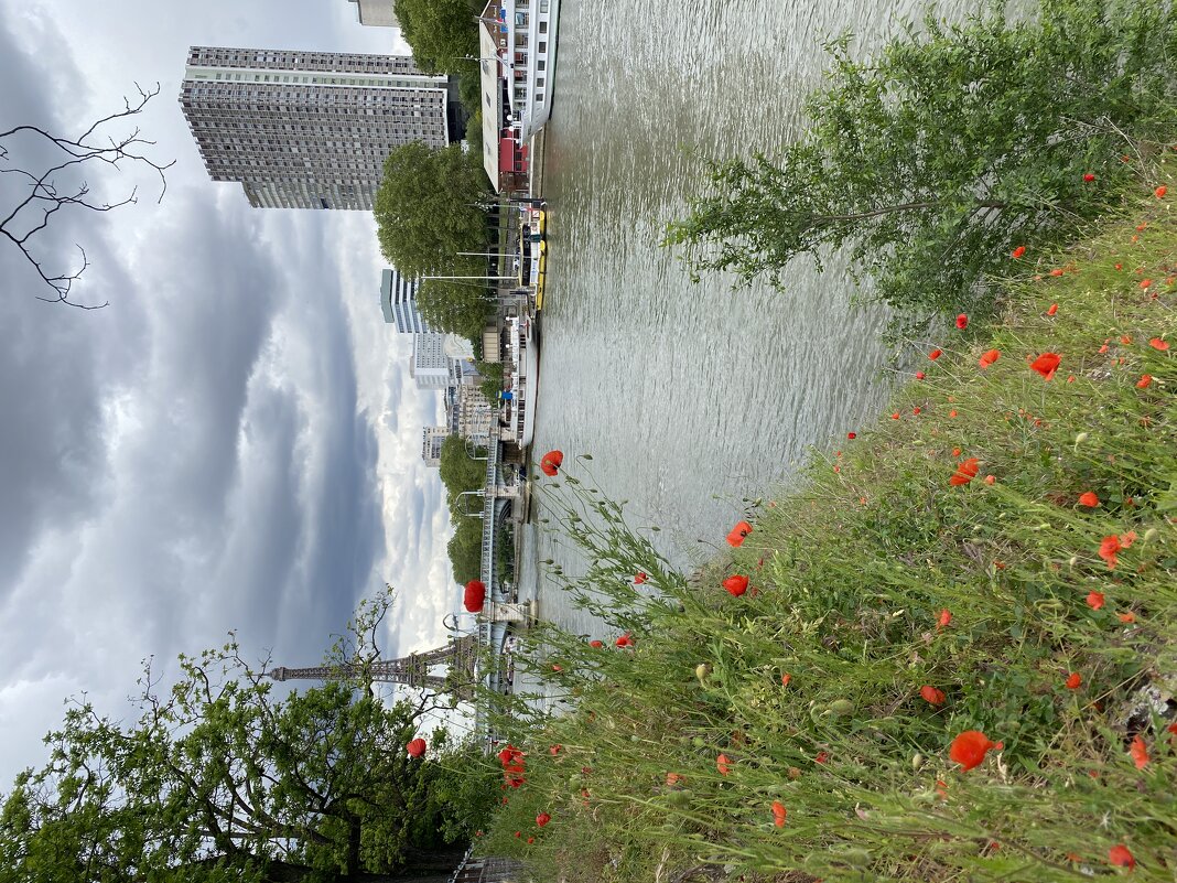 Лебяжий остров в Париже - Лев Поливанов Лебяжий остров в Париже - Лев Поливанов