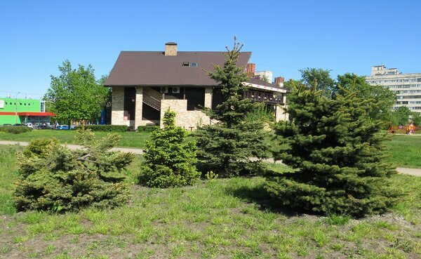 В парке - Вера Щукина