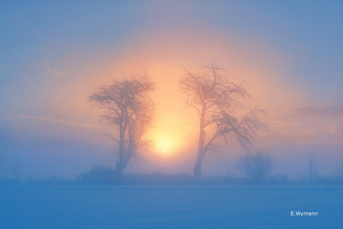 winter sunrise - Elena Wymann