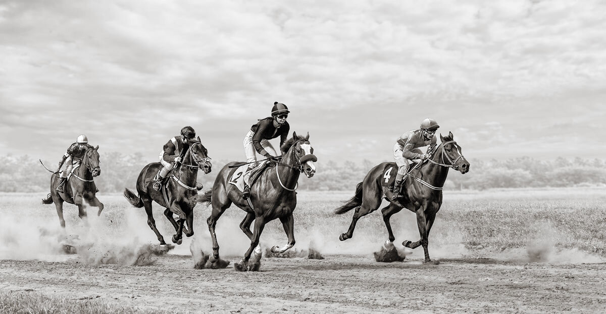 Скачки - SanSan 