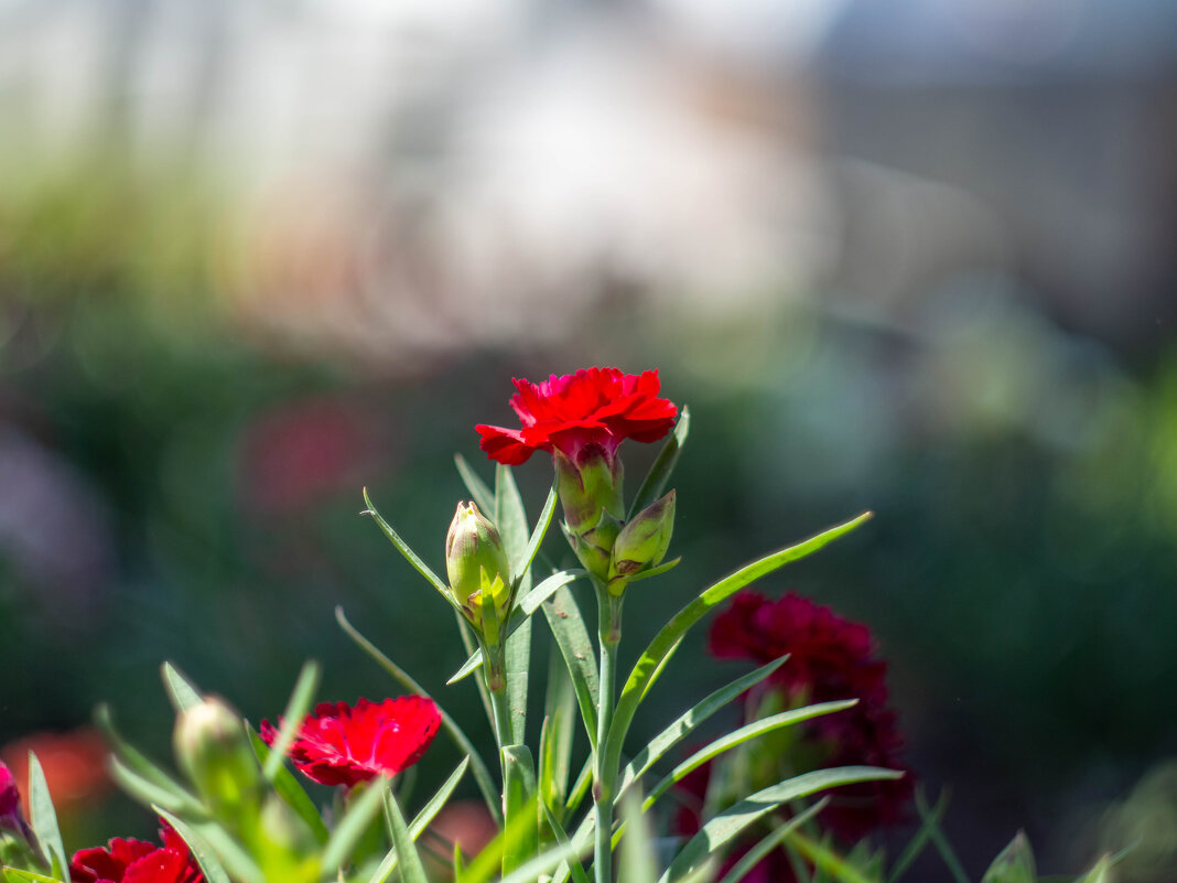 ___ - Yuriy V ___ - Yuriy V