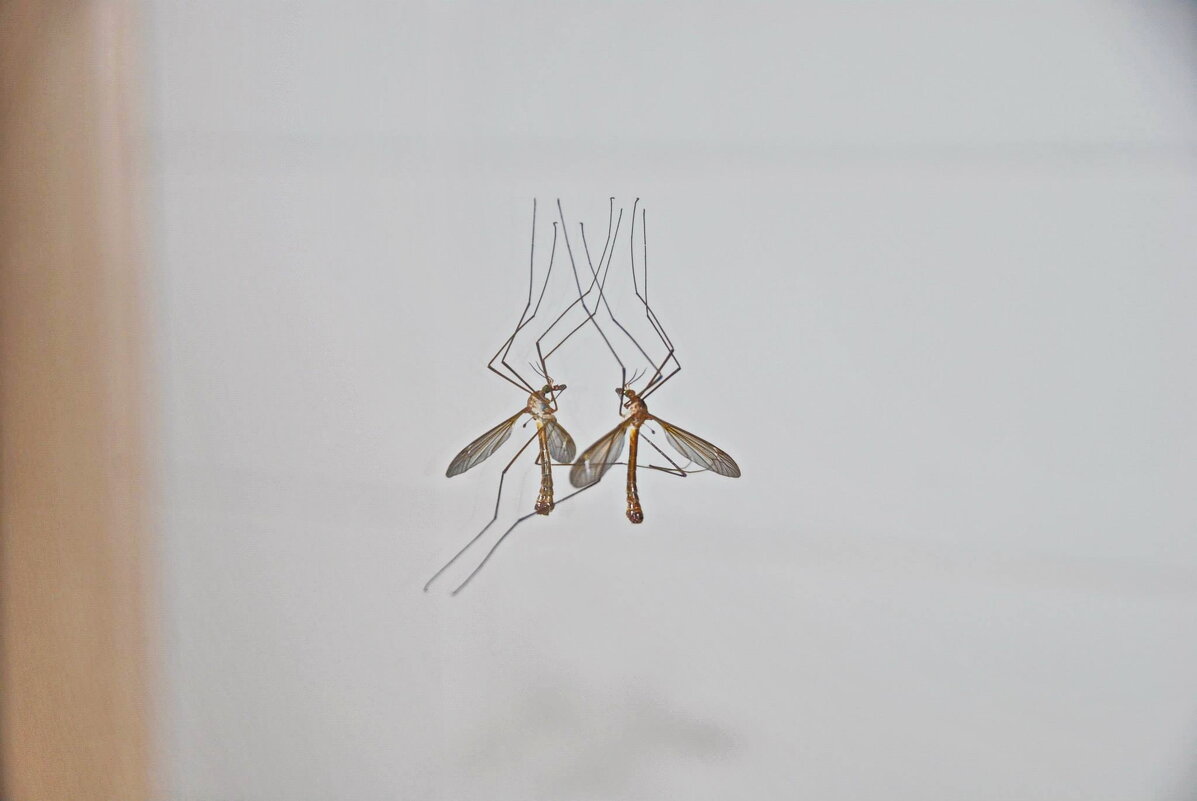 САМОЛЮБОВАНИЕ - Юрий Вовк