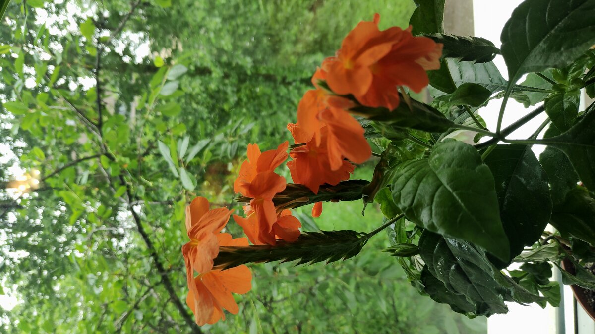 :) - Андрей :) - Андрей