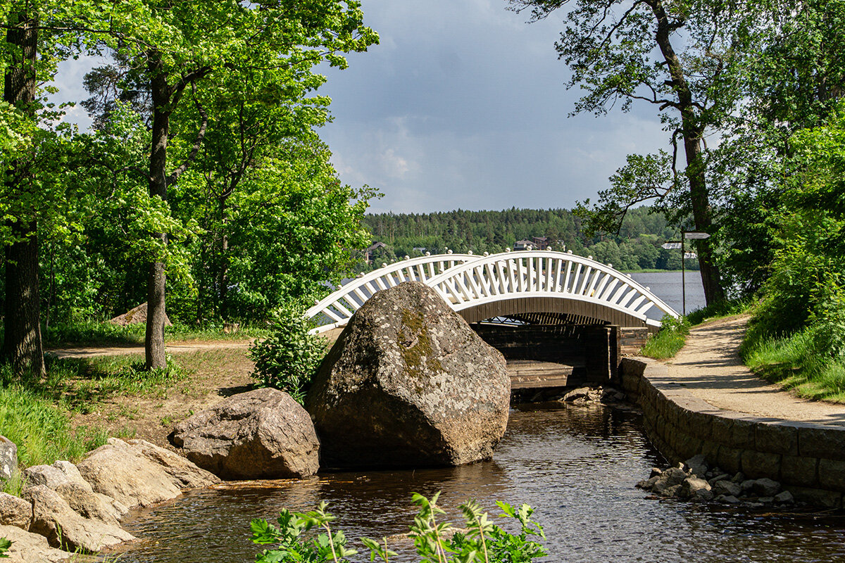 В парке Монрепо - Ирина Соловьёва