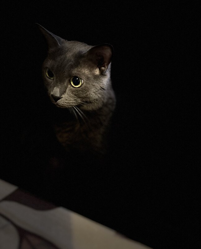 Портрет - Татьяна Юрьевна Иванова Портрет - Татьяна Юрьевна Иванова