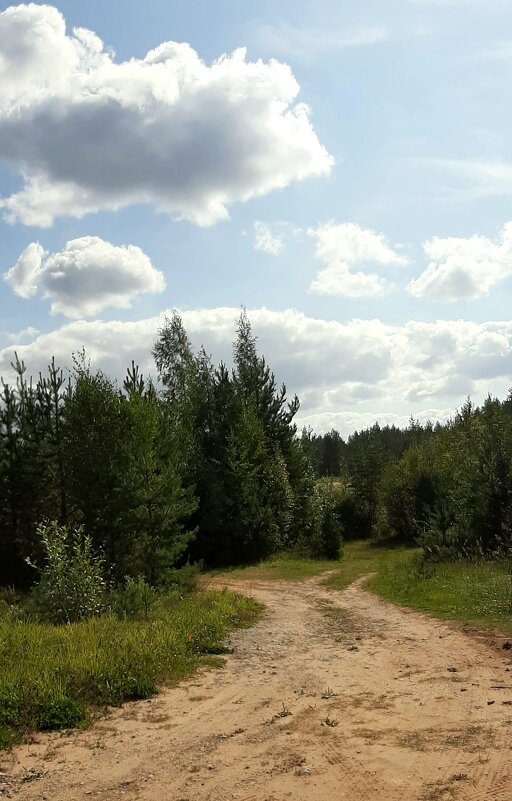 *** - Наталья Герасимова