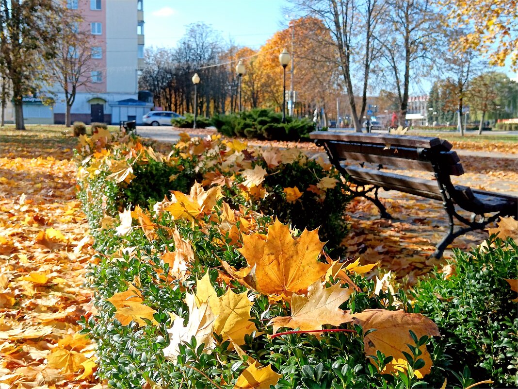 Золотая осень в городе - Геннадий Худолеев Худолеев