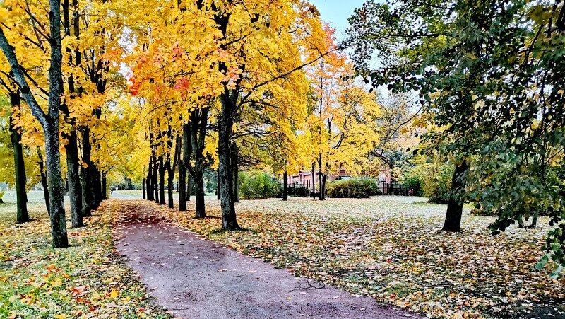 Осень на улицах нашего городка ... - Сергей 