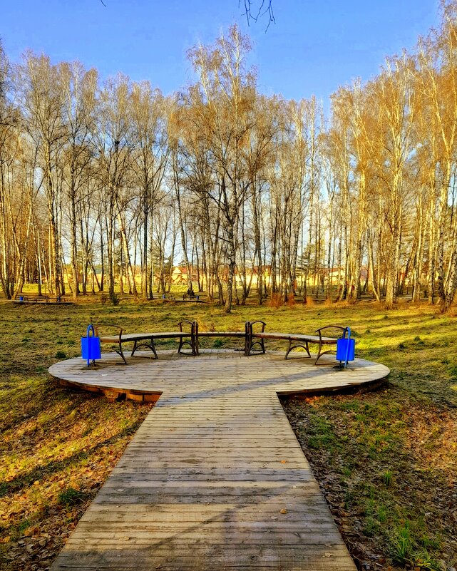 Последний день октября в парке . - Мила Бовкун Последний день октября в парке . - Мила Бовкун