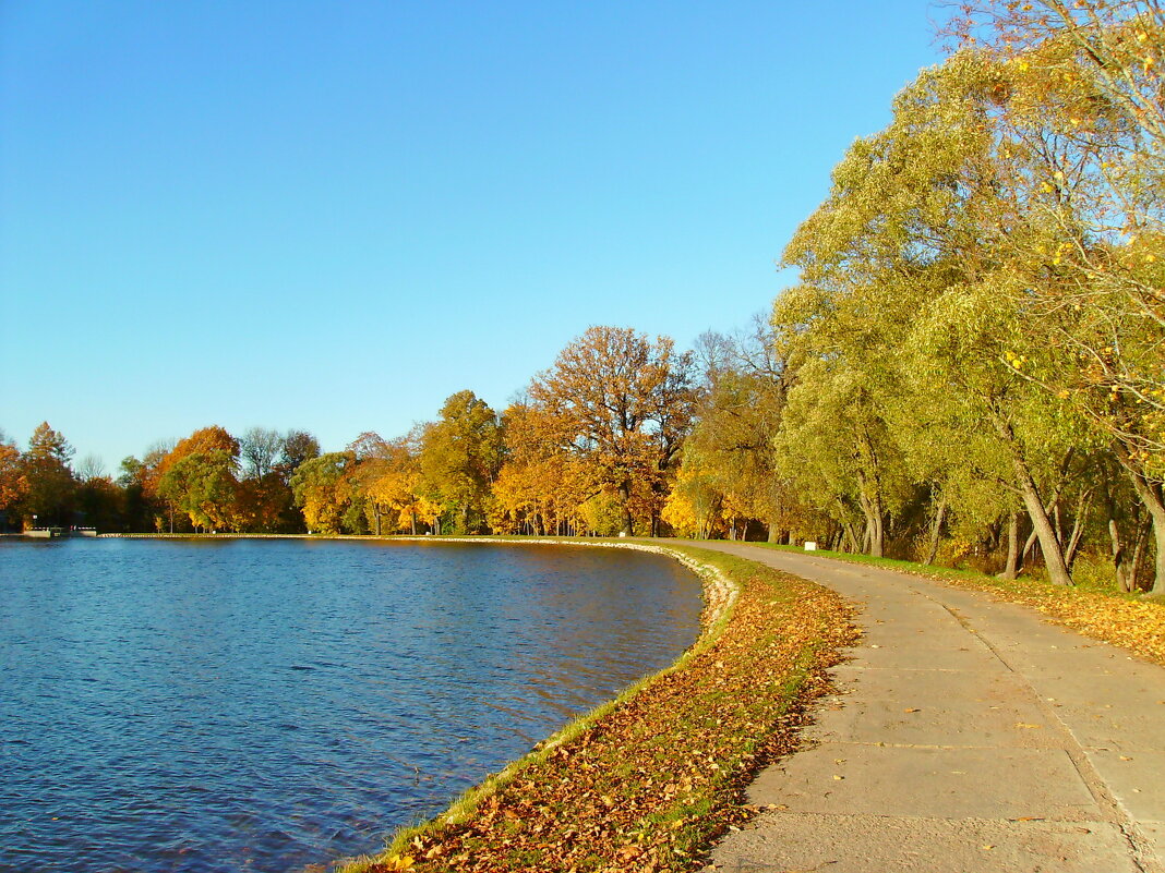 Октябрьская зарисовка. - Лия ☼