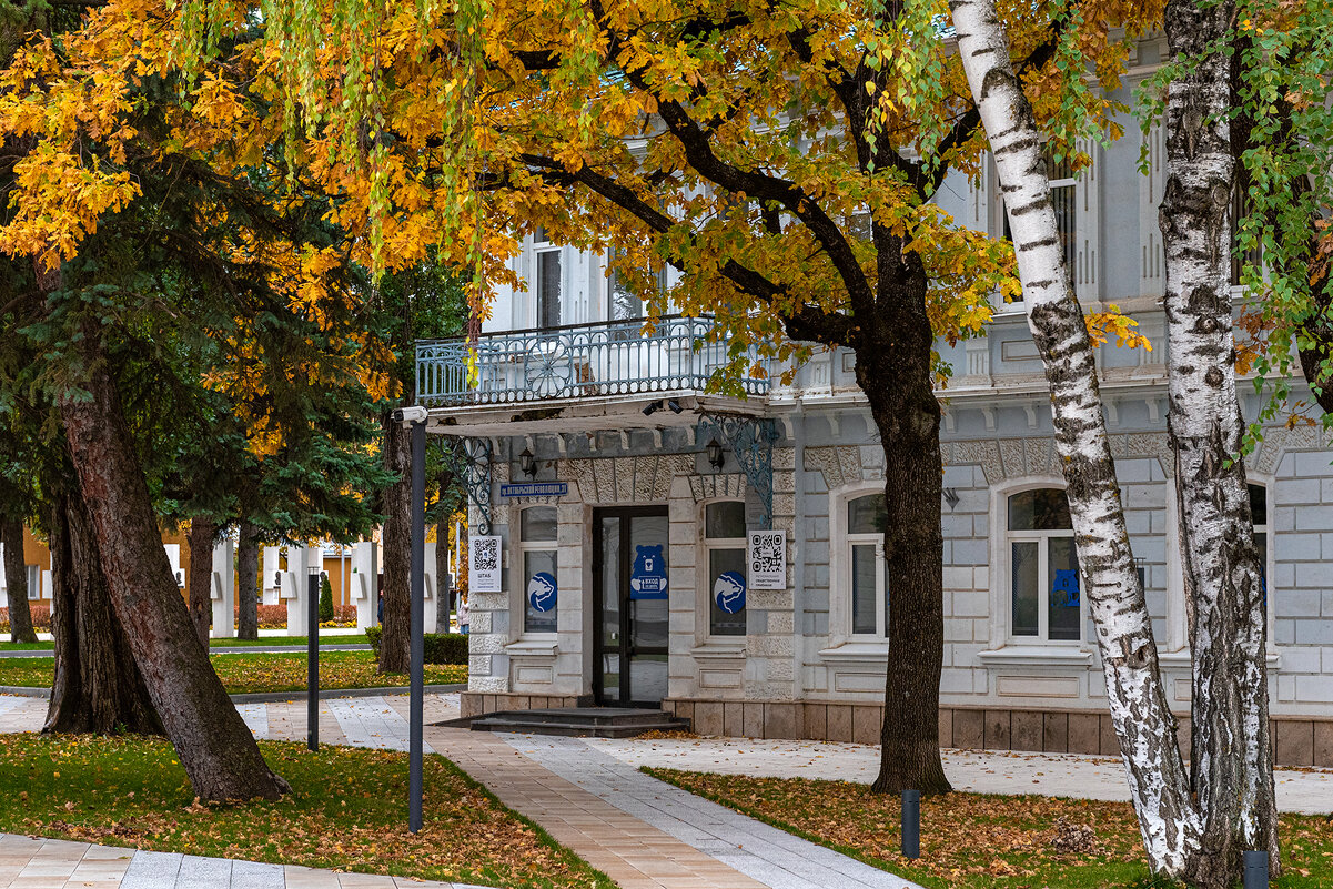 Ставрополь - Вадим Федотов Ставрополь - Вадим Федотов