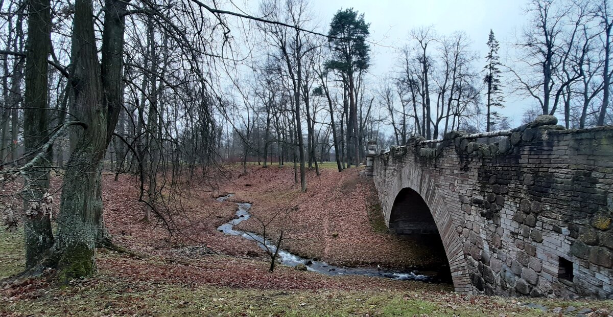 Парк Александрия. Ноябрь - Наталья Герасимова