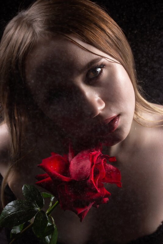 *** - Николай Чекалин