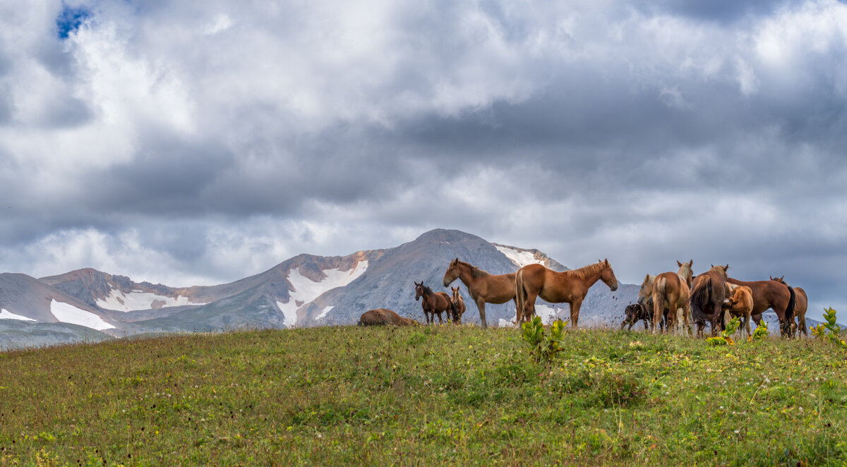 Плато Лаго-Наки - Игорь Сикорский Плато Лаго-Наки - Игорь Сикорский