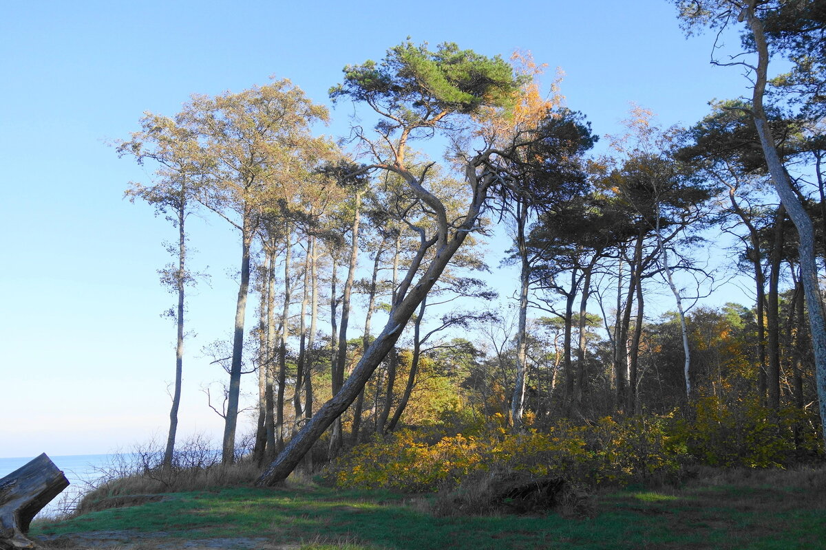 Побережье Балтийского моря, Калининградская область - Рита Симонова Побережье Балтийского моря, Калининградская область - Рита Симонова