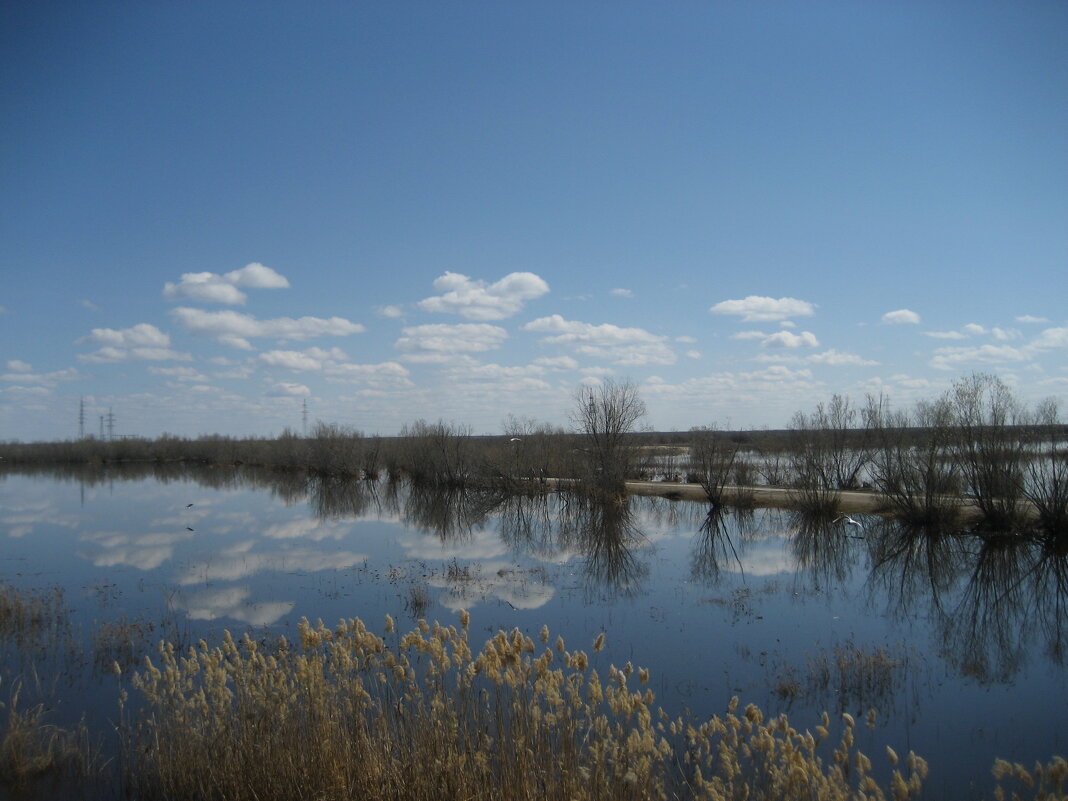 Весна - Anna Ivanova