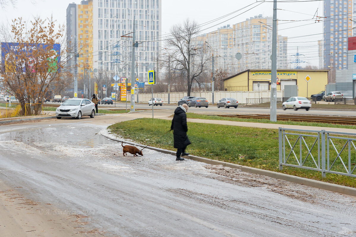 Прогулка - Александр Синдерёв