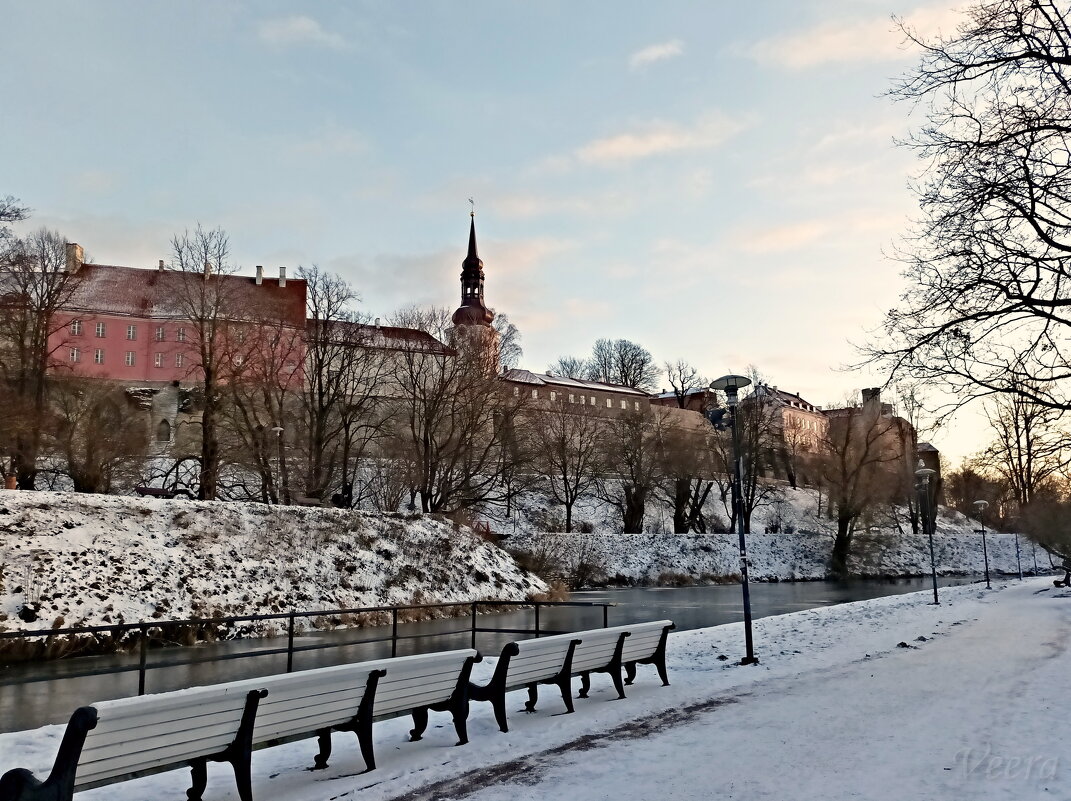 Тоомпарк, пруд Шнелли - Veera V Тоомпарк, пруд Шнелли - Veera V