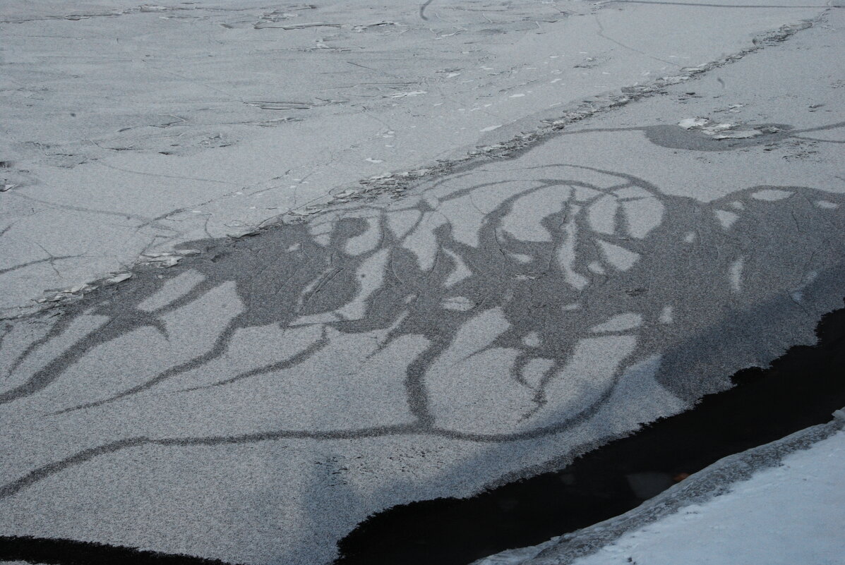 ТАНЦЫ НА ВОДЕ льЕ-льЕ-льЕ. ТАКОГО Я НЕ ВСТРЕЧАЛ НИГДЕ - Юрий Вовк ТАНЦЫ НА ВОДЕ льЕ-льЕ-льЕ. ТАКОГО Я НЕ ВСТРЕЧАЛ НИГДЕ - Юрий Вовк
