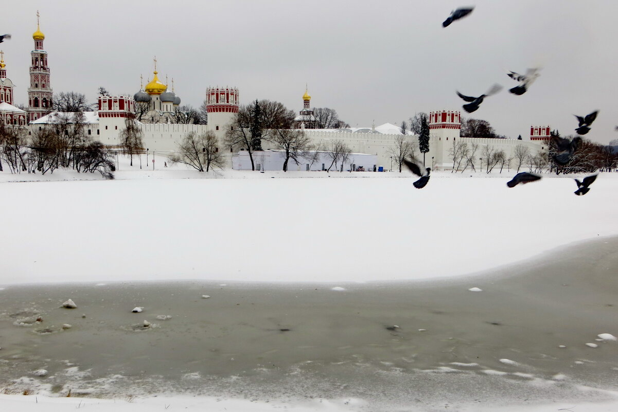 Улетели... - Александр Чеботарь Улетели... - Александр Чеботарь