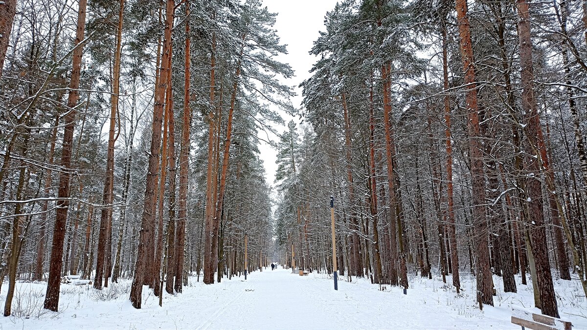 В парке Лесная опушка - Татьяна Тюменка