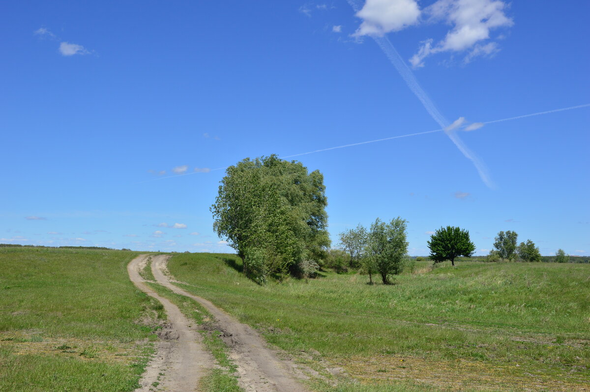 Мои дороги. - Виктор Мои дороги. - Виктор