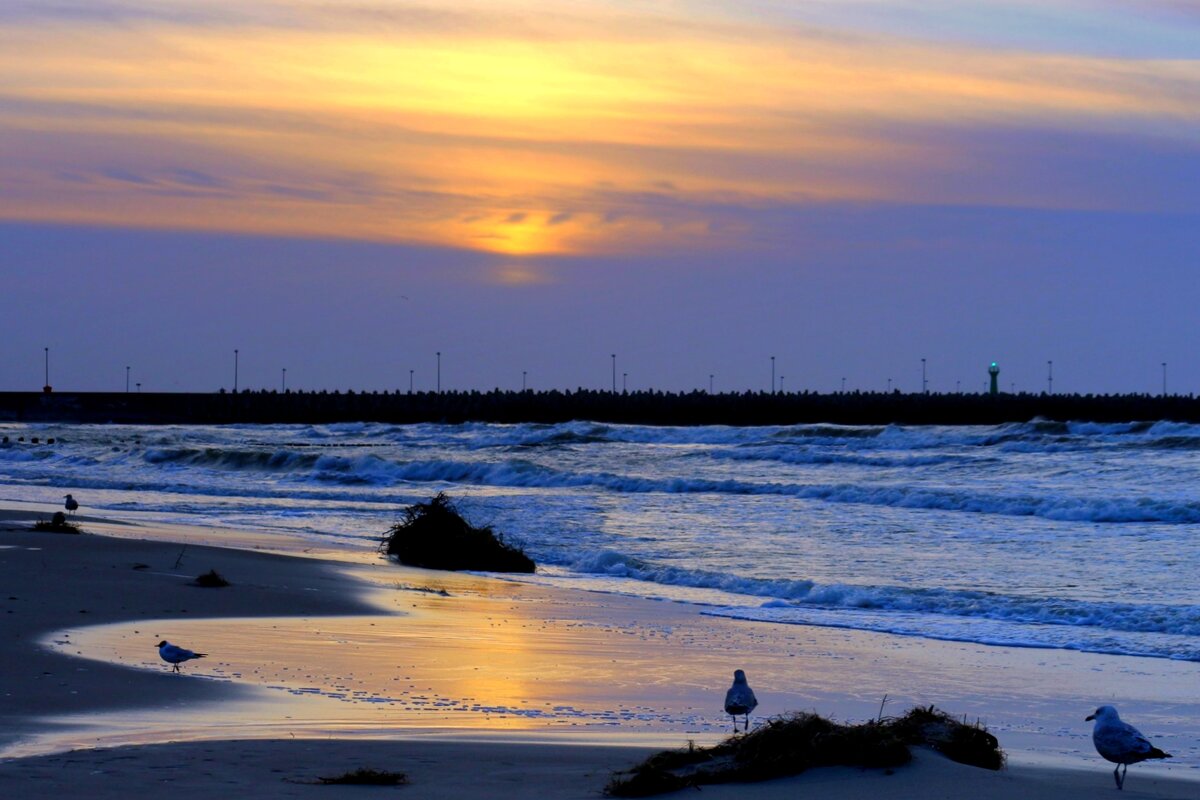 Янтарный закат - Юрий. Шмаков