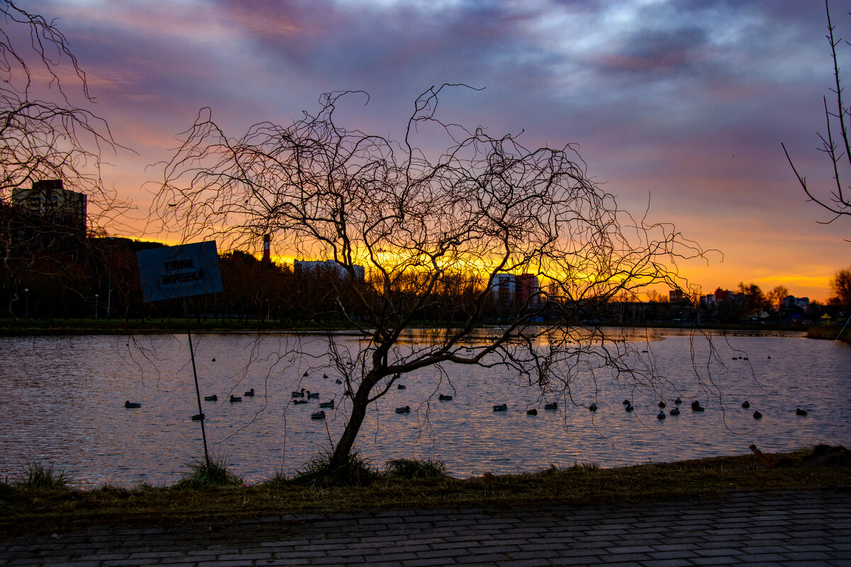 Восход солнца - Андрей Сосновский