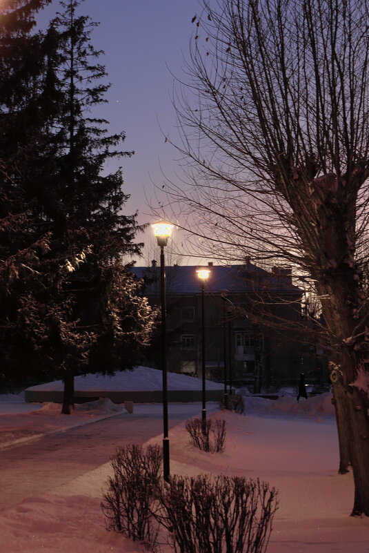 Декабрьский вечер. - Александр Николаев