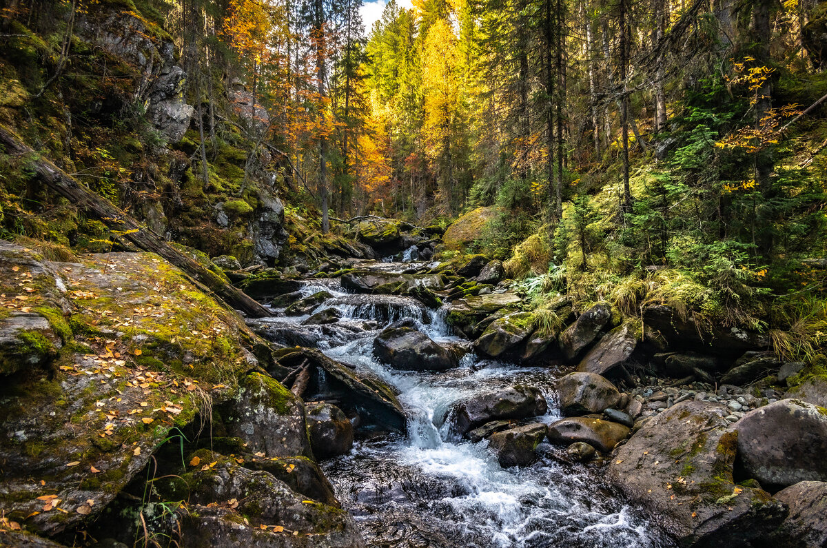 )) - Владимир 