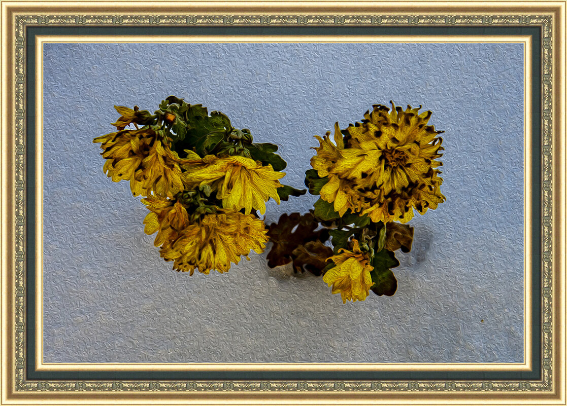 Цветы на снегу - Анатолий Чикчирный Цветы на снегу - Анатолий Чикчирный