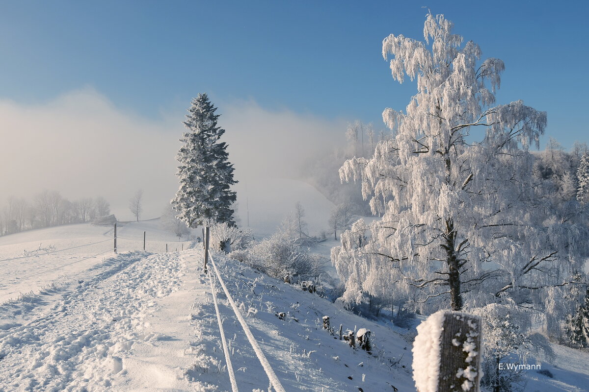 winter view - Elena Wymann