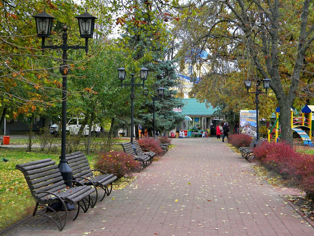 В осеннем парке - Роман Савоцкий