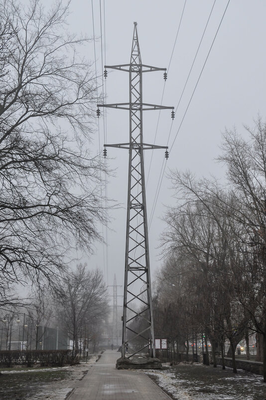 В нашем городе туманы - Татьяна Машошина