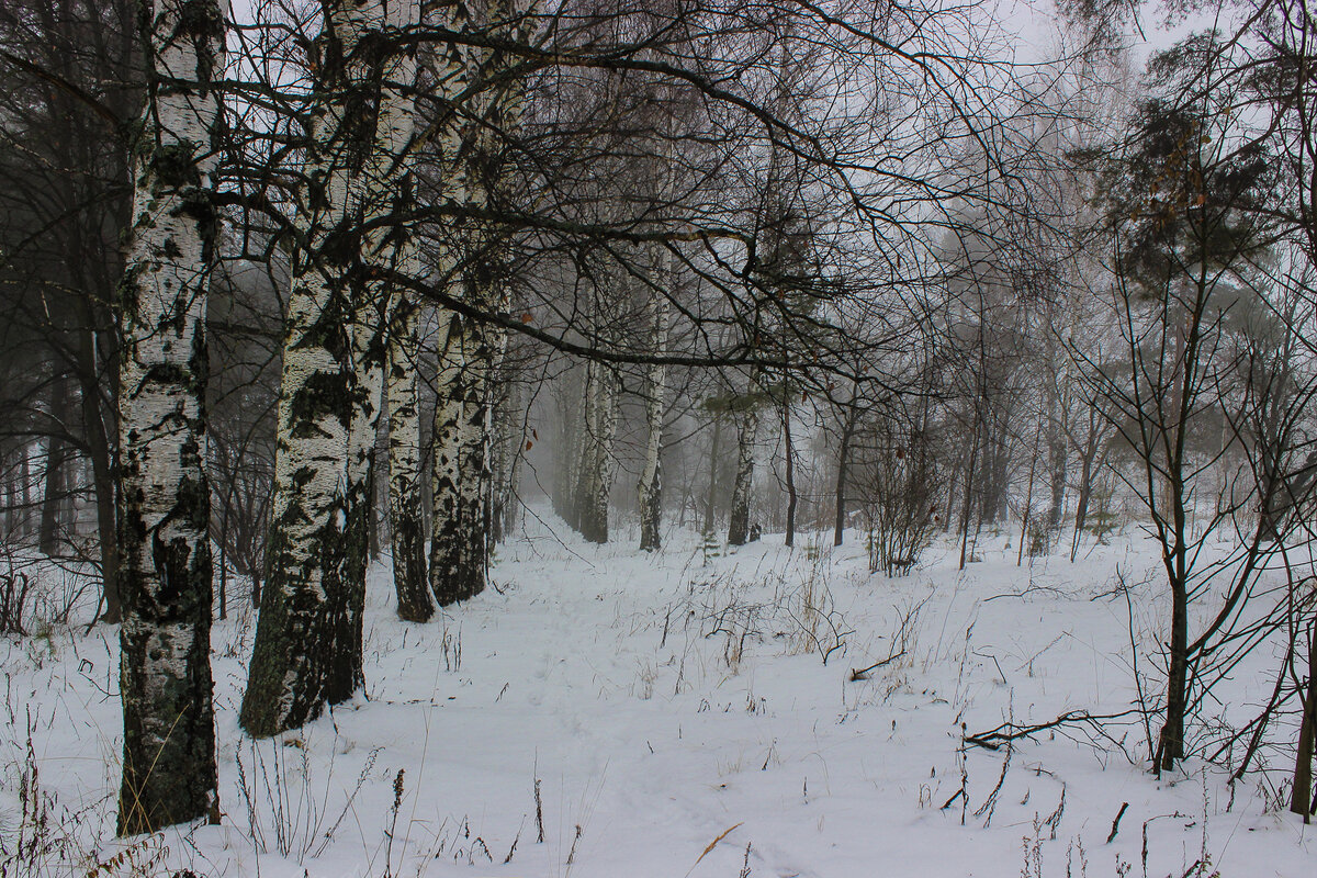 *** - Андрей Андрианов