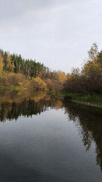 Хороша осень - Татьяна Лакатош