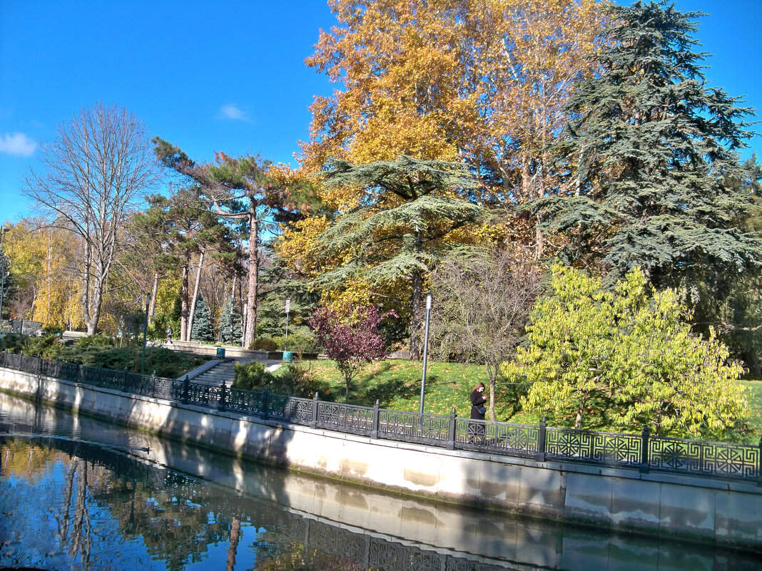 Природа  Гагаринского парка - Валентин Семчишин