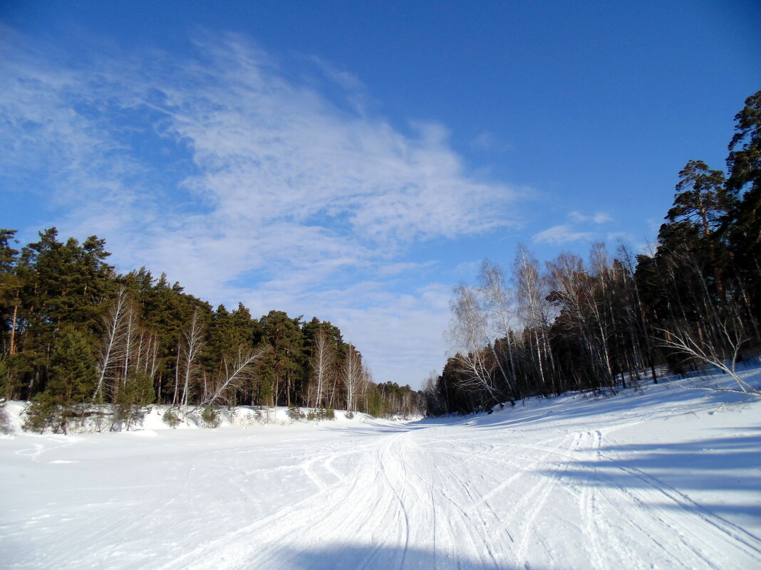 Зима . - Мила Бовкун Зима . - Мила Бовкун